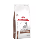 Royal canin Gastrointestinal canino 10kg