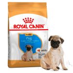 Royal Canin Pug Junior 2.5Kg